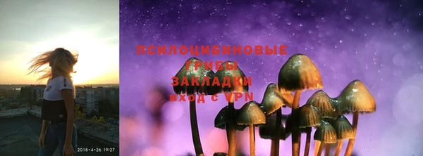 ПСИЛОЦИБИНОВЫЕ ГРИБЫ Армянск