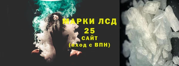 хмурый Ельня
