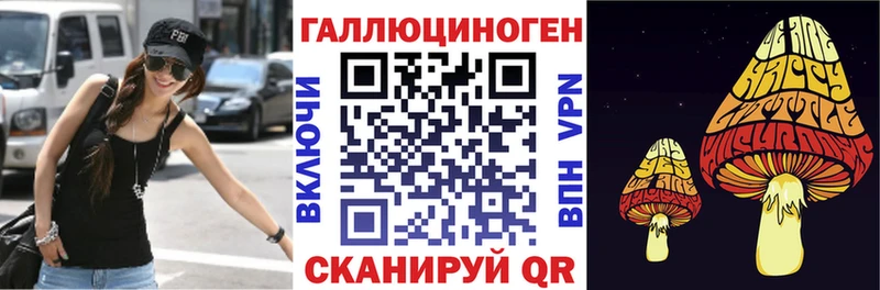 Псилоцибиновые грибы GOLDEN TEACHER  продажа наркотиков  Кимры 